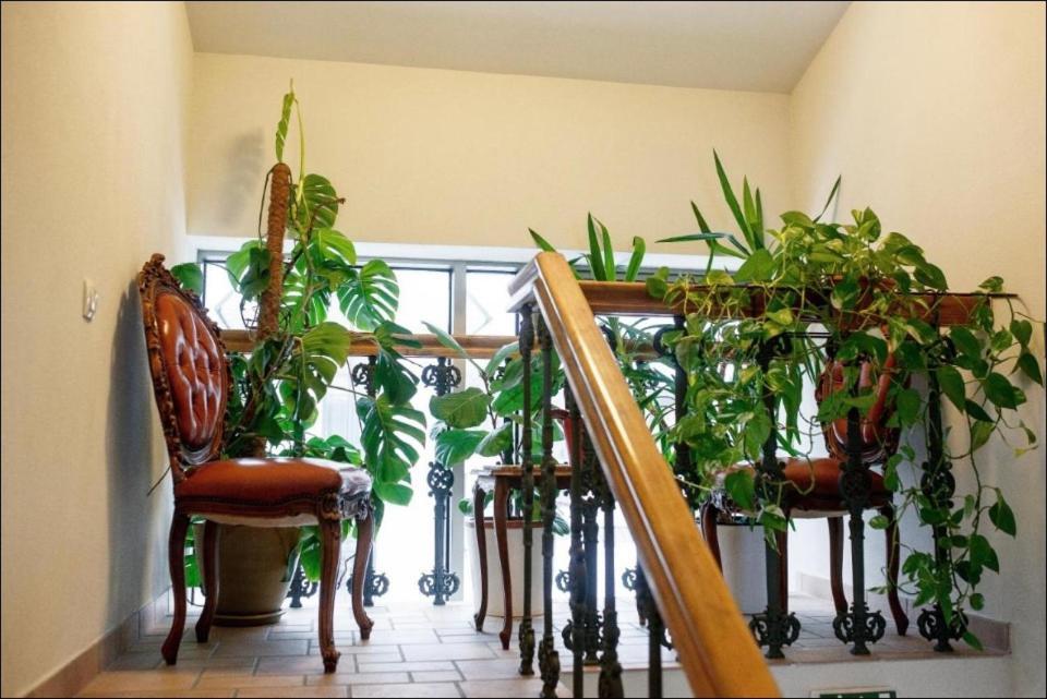 Apartment Senamiescio Inkaras Klaipeda Ngoại thất bức ảnh
